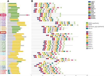 Genome-wide analysis of the GRAS gene family in Liriodendron chinense reveals the putative function in abiotic stress and plant development